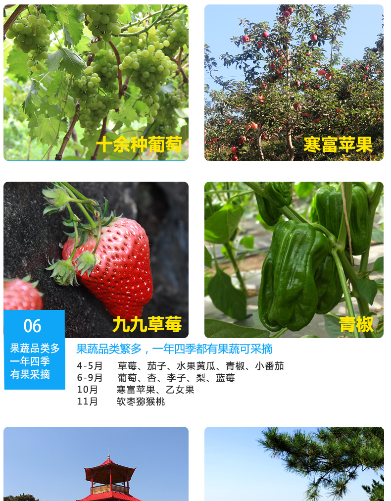 采摘旅游综合图-详情页_07.jpg
