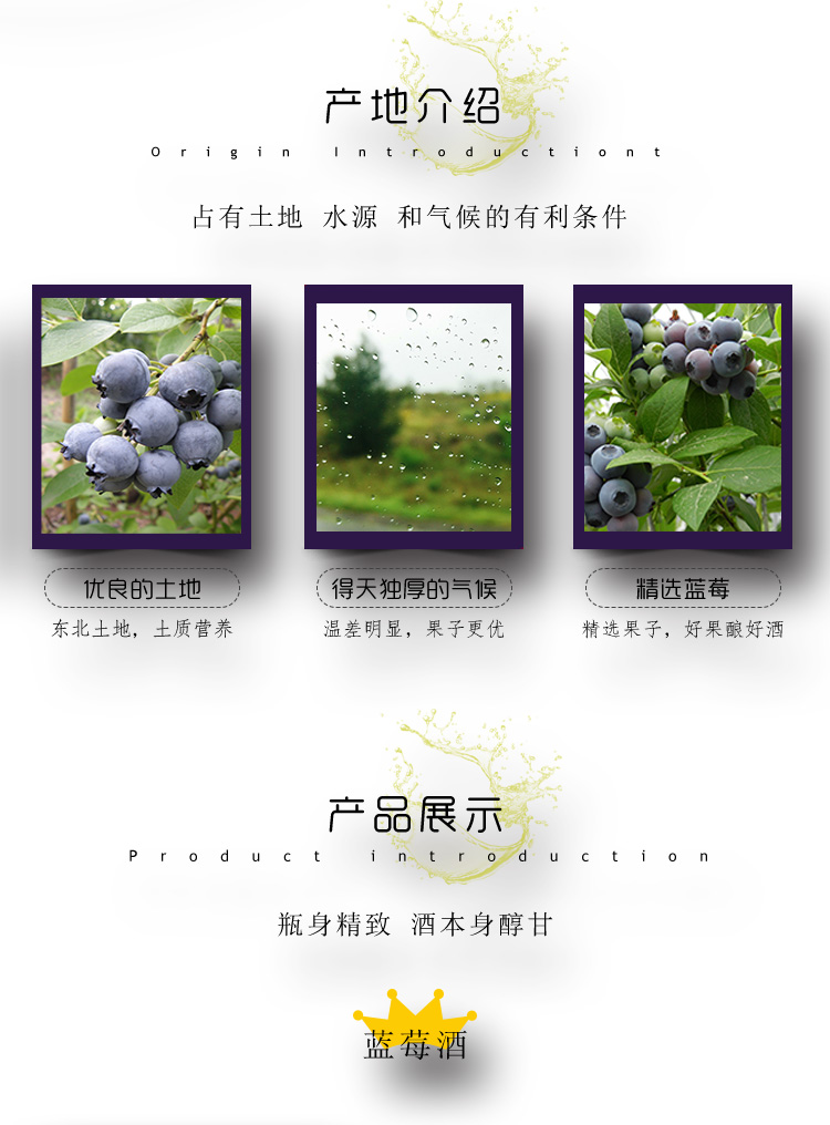 蓝莓酒_03.jpg