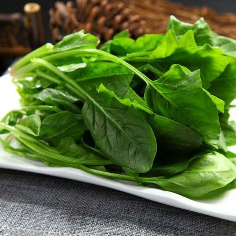 绿色菠菜500g
